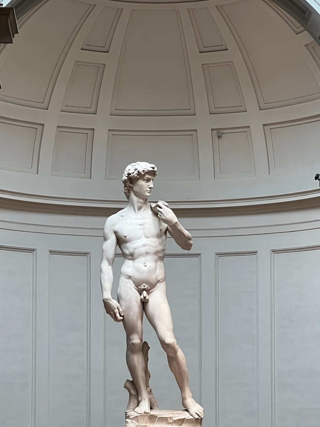 The Academy, The Duomo, Boboli Gardens, and&nbsp;Gelato