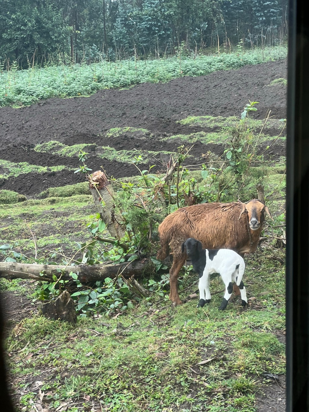 We Will Return to Our Previously Scheduled Program&nbsp;Shortly