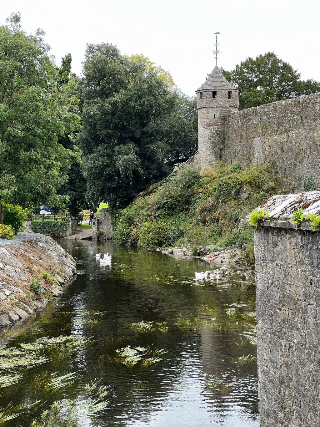 When Irish Eyes Are Smiling